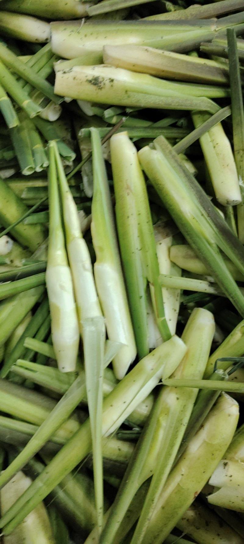 茭白，精品货电商货可持续供应