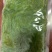 裙带菜，裙带菜丝，海菜