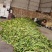 【甜玉米】太阳花甜玉米支持视频看货，可发往全国市场！
