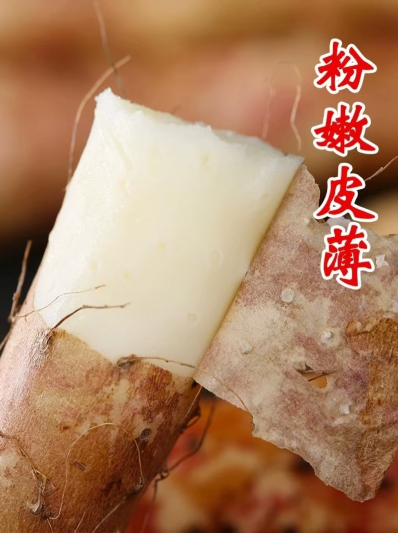 河北小白嘴山药全国发货