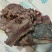 【熟骆驼头肉】骆驼头肉，纯干货几乎无油，八成熟全面有货