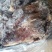 【熟骆驼头肉】骆驼头肉，纯干货几乎无油，八成熟全面有货
