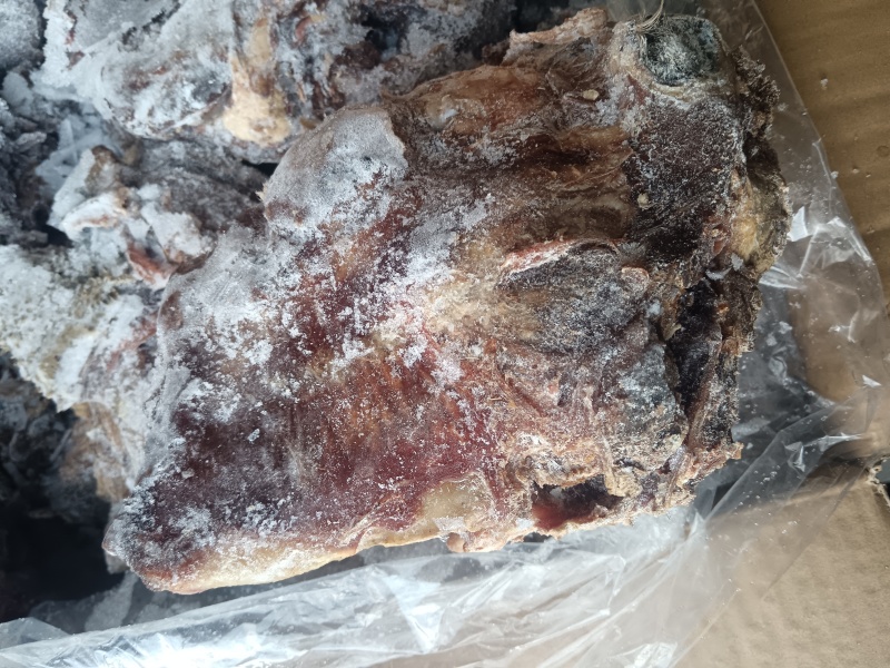 【熟骆驼头肉】骆驼头肉，纯干货几乎无油，八成熟全面有货
