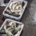精品回钓鲤鱼原塘质量