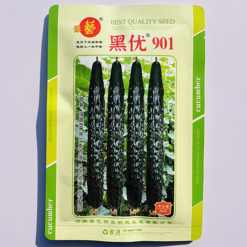 豫艺黑优901黄瓜种子强雌油亮早熟春秋四季高产绿心黄瓜种
