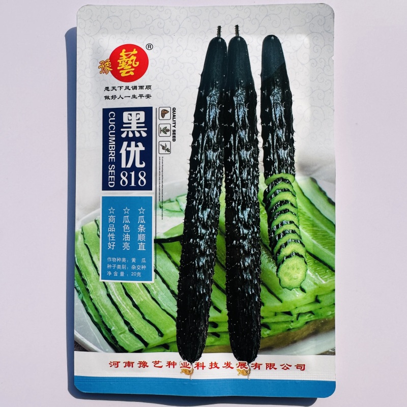 豫艺黑优818黄瓜种子密刺油亮黄瓜种子绿心绿肉青瓜种籽