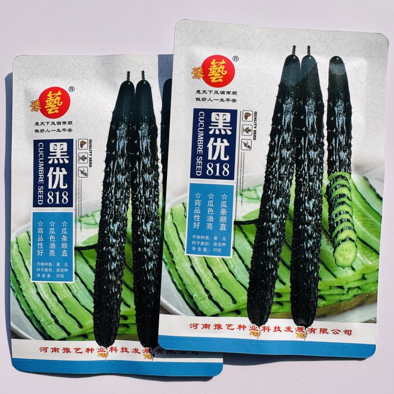 豫艺黑优818黄瓜种子密刺油亮黄瓜种子绿心绿肉青瓜种籽