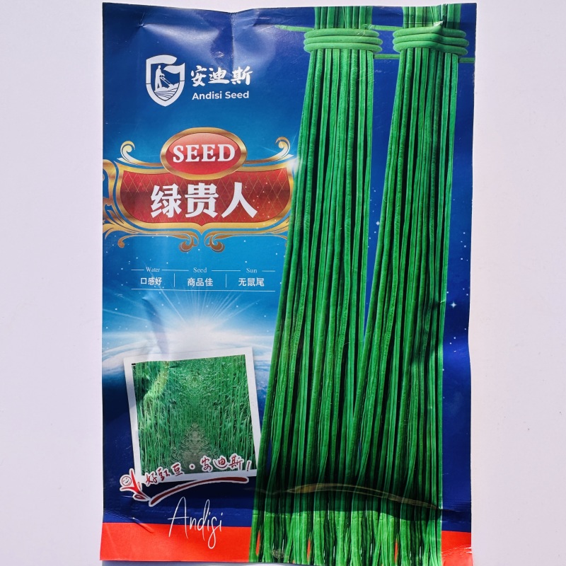 绿贵人绿条青长豆角种子绿条长豇豆种子黑眉豆角种子早熟豇豆