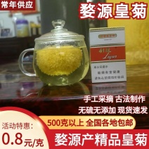 江西婺源皇菊产地直发保质保量对接全国一朵一杯