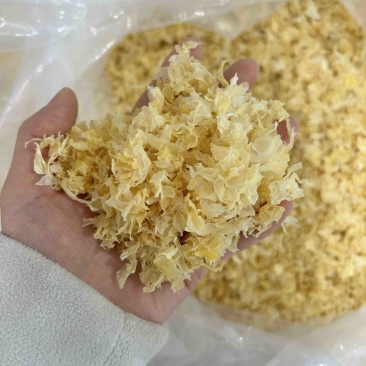 银耳碎古田银耳碎干货批发优质农产品规格齐全