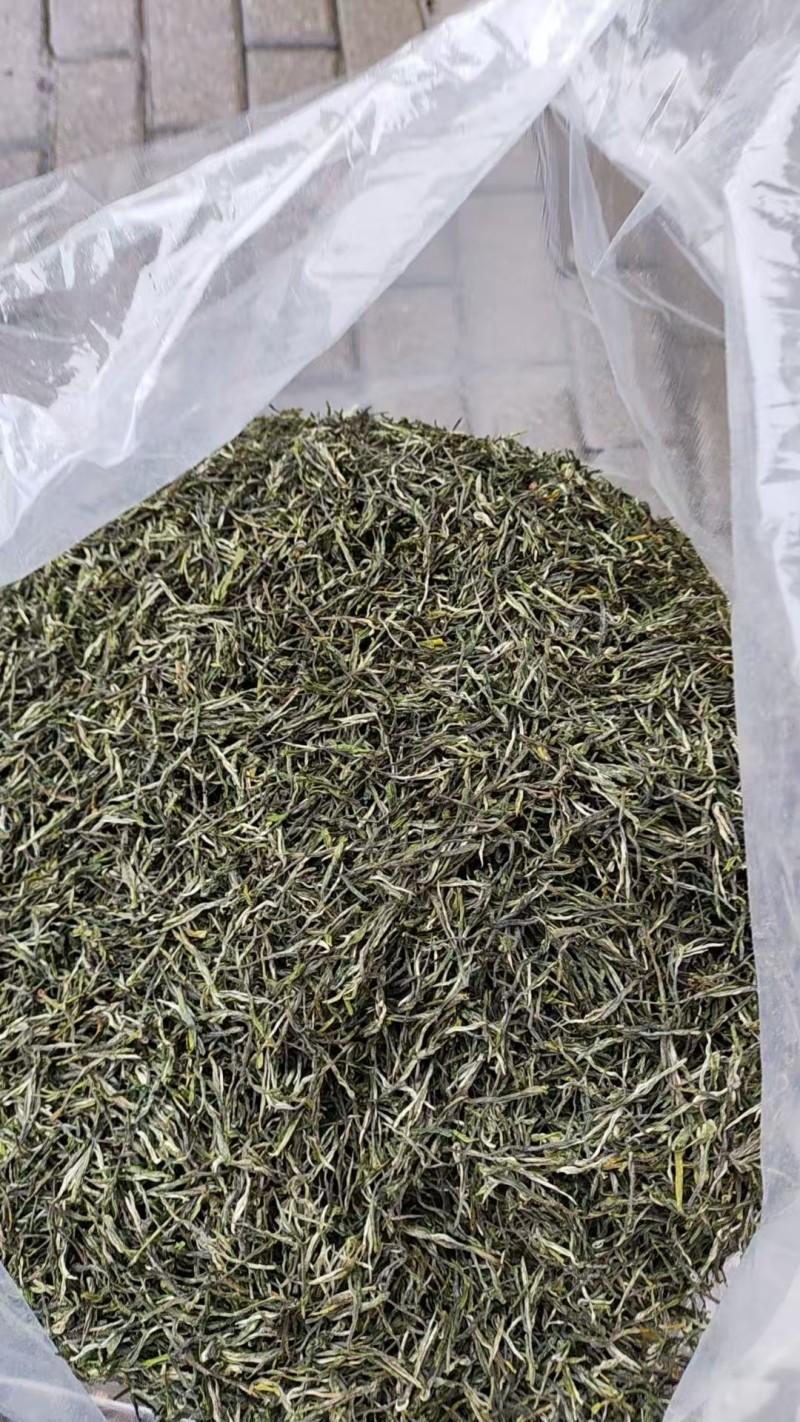 高山绿茶高山茶绿茶农户自产自销常年大量供应欢迎合作