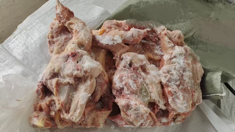 种鸡架