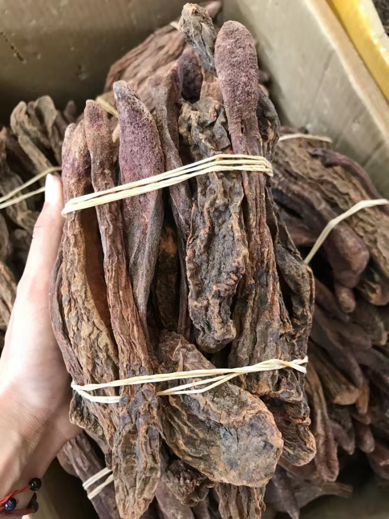 锁阳2024新货，保质保真，一手货源，量大价优