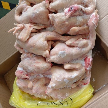 二级三黄鸡9只，有货，价格不高
