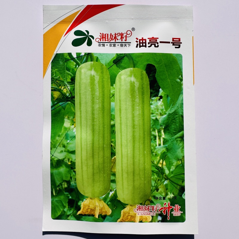 湘妹籽油亮一号肉丝瓜种子白绿色丝瓜种籽短棒油亮白油水瓜种