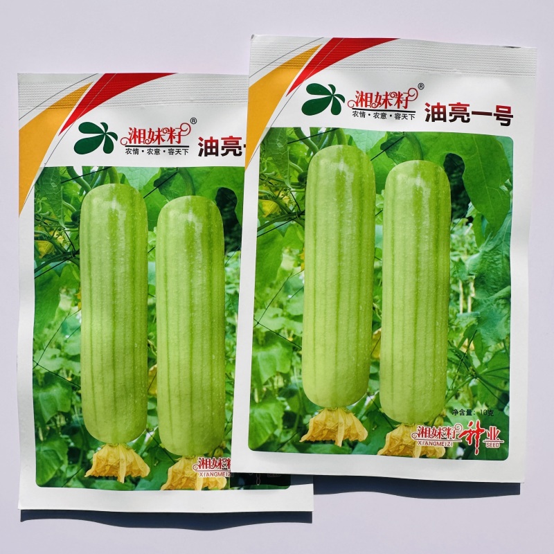 湘妹籽油亮一号肉丝瓜种子白绿色丝瓜种籽短棒油亮白油水瓜种