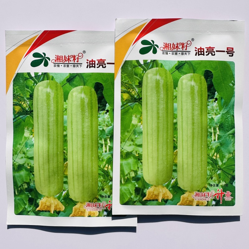 湘妹籽油亮一号肉丝瓜种子白绿色丝瓜种籽短棒油亮白油水瓜种