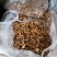 高山桂花菌野生供应品质保证一手货源诚信经营欢迎下单