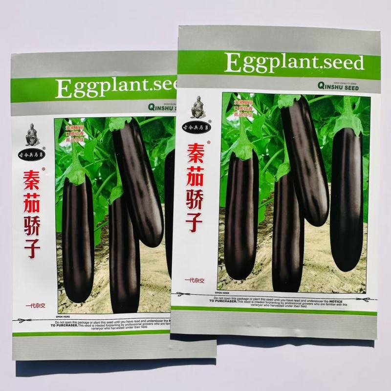 秦茄骄子绿蕚茄子种子粗长棒形茄子种子早熟绿肉好吃紫黑发亮