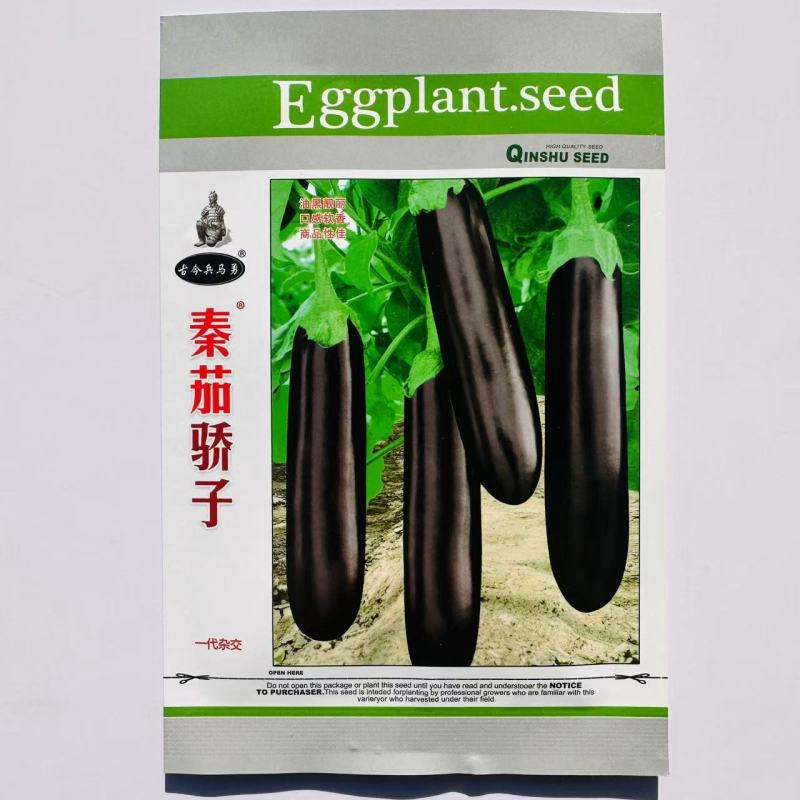 秦茄骄子绿蕚茄子种子粗长棒形茄子种子早熟绿肉好吃紫黑发亮