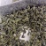 【1斤起售】安溪高山秋茶消正清香型兰花香铁观音进店下单