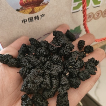 各种规格桑葚干