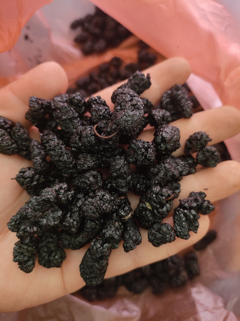 各种规格桑葚干