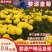 【正宗】江西婺源皇菊一朵一杯量大从优对接全国