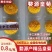 【正宗】江西婺源皇菊一朵一杯量大从优对接全国