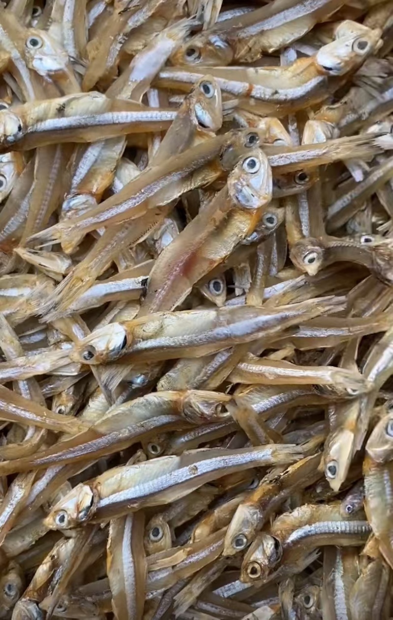小鱼干新货公鱼干海鲜干货海燕鱼白帆鱼风干自晒咸小鱼仔水产
