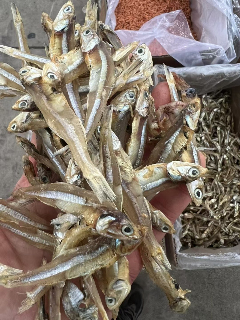 小鱼干新货公鱼干海鲜干货海燕鱼白帆鱼风干自晒咸小鱼仔水产
