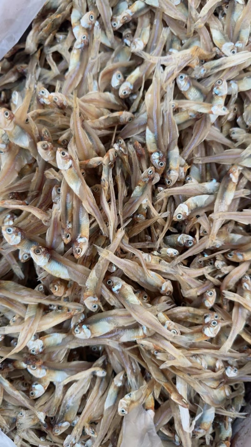 小鱼干新货公鱼干海鲜干货海燕鱼白帆鱼风干自晒咸小鱼仔水产