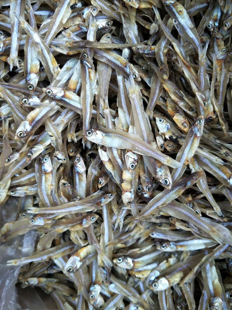 小鱼干新货公鱼干海鲜干货海燕鱼白帆鱼风干自晒咸小鱼仔水产