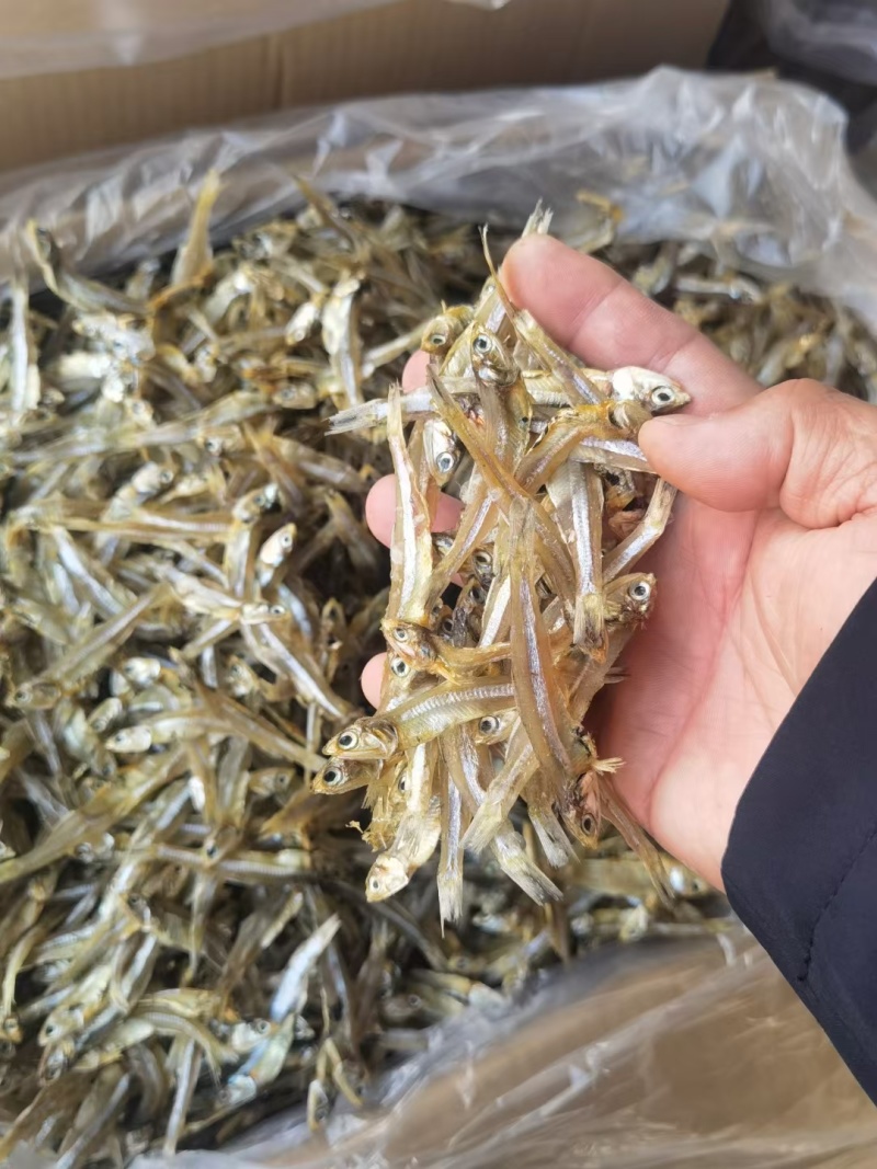 小鱼干新货公鱼干海鲜干货海燕鱼白帆鱼风干自晒咸小鱼仔水产