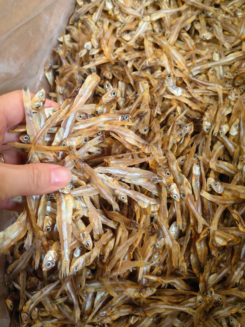 小鱼干新货公鱼干海鲜干货海燕鱼白帆鱼风干自晒咸小鱼仔水产