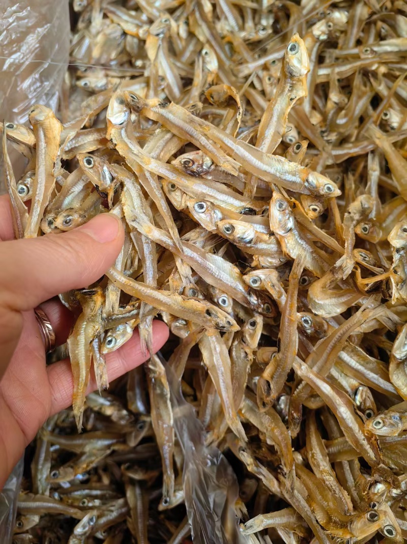 小鱼干新货公鱼干海鲜干货海燕鱼白帆鱼风干自晒咸小鱼仔水产