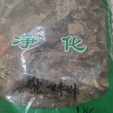 独一味叶常年经营冷背中药材量大从优