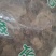 独一味叶常年经营冷背中药材量大从优