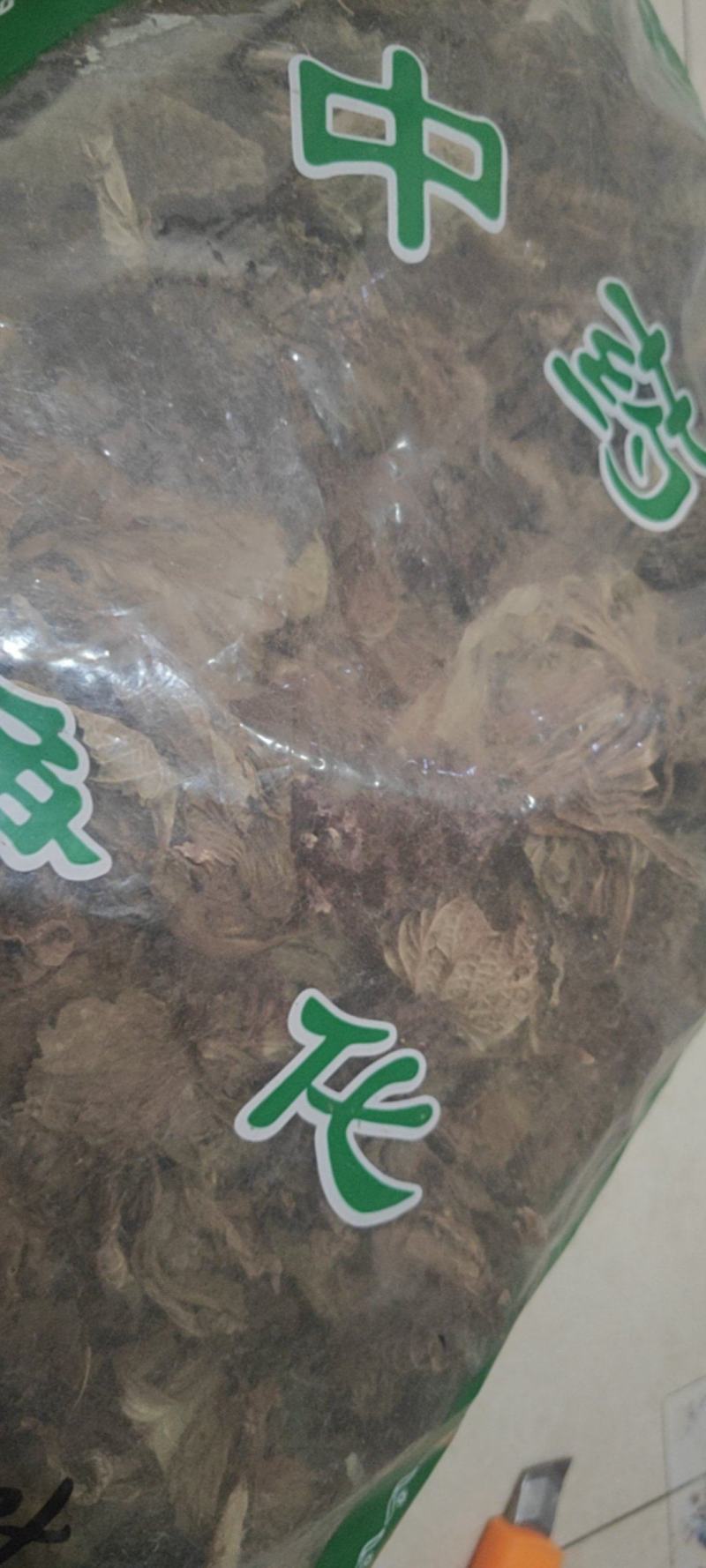 独一味叶常年经营冷背中药材量大从优