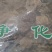 独一味叶常年经营冷背中药材量大从优