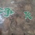 独一味叶常年经营冷背中药材量大从优