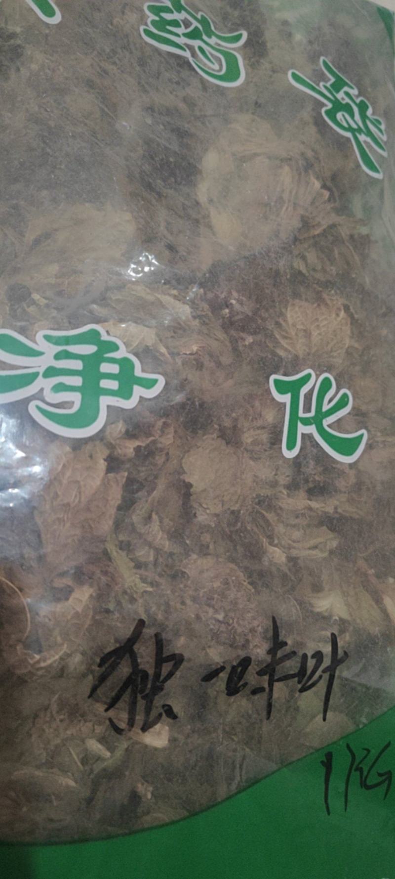 独一味叶常年经营冷背中药材量大从优