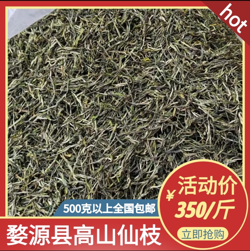 高山绿茶高山茶绿茶农户自产自销常年大量供应欢迎合作