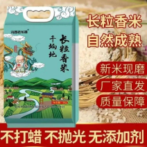 【包邮】东北大米五常大米长粒香大米5千克一件也是批发价