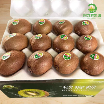 徐香猕猴桃【一件代发】产地直发一手货源量价优对接全国商超