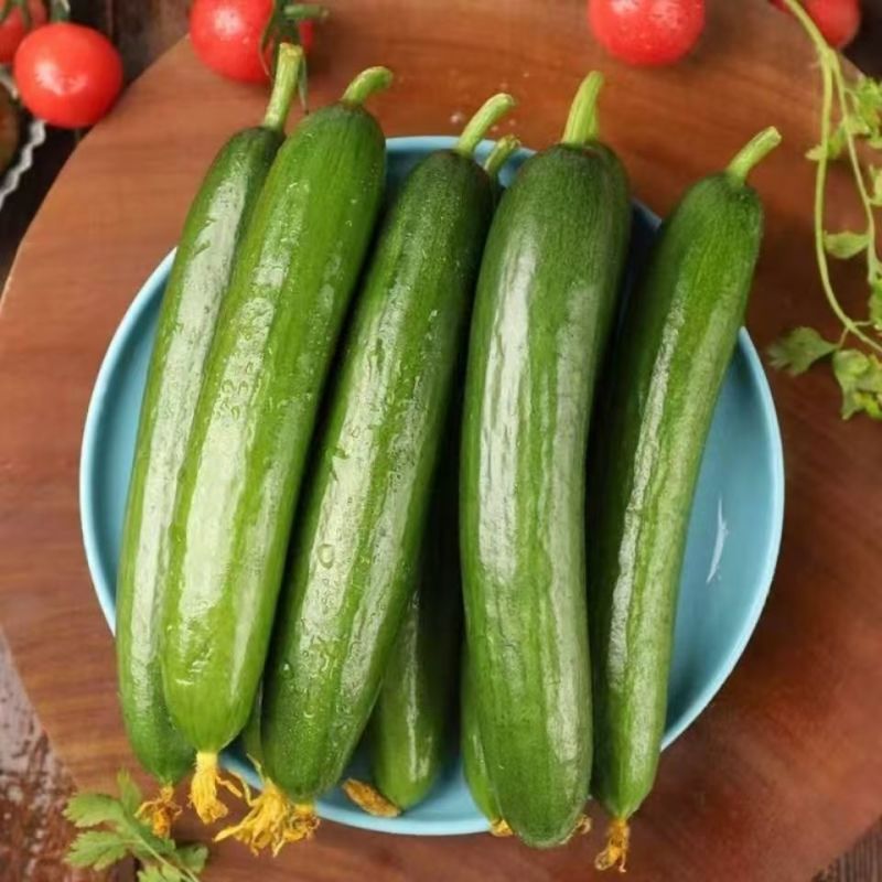 小乳瓜，小黄瓜！大荔黄瓜