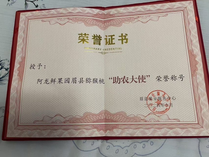 徐香猕猴桃【一件代发】产地直发一手货源量价优对接全国商超