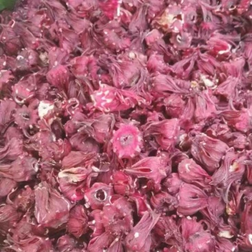 洛神花