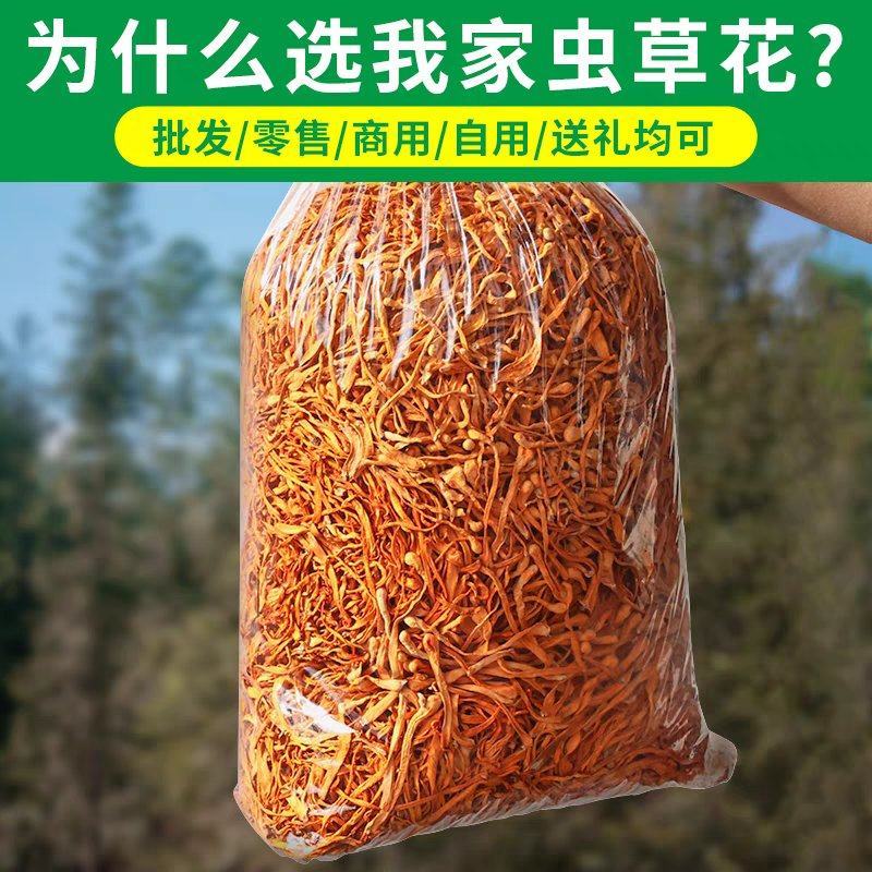 虫草花产地直销坐标李大人