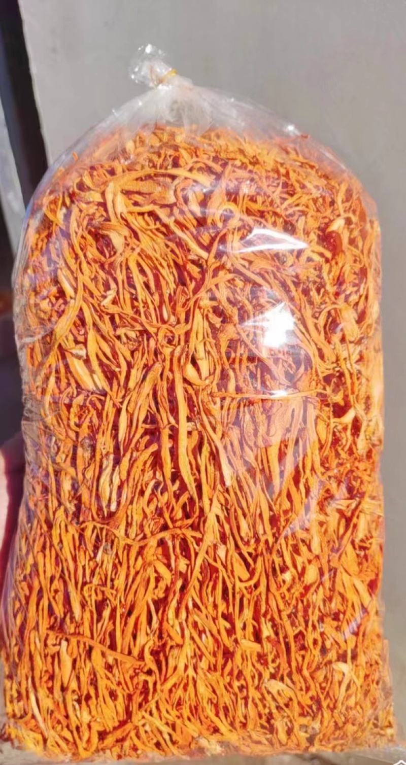 虫草花产地直销坐标李大人
